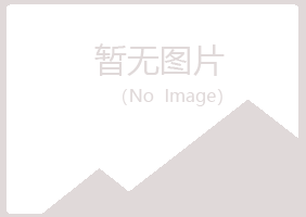 太子河区女孩美容有限公司